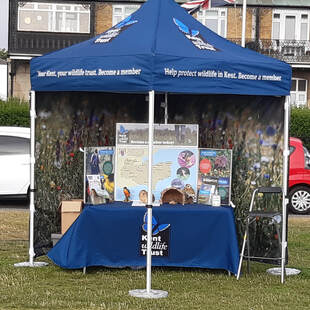 Kent Wildlife Trust