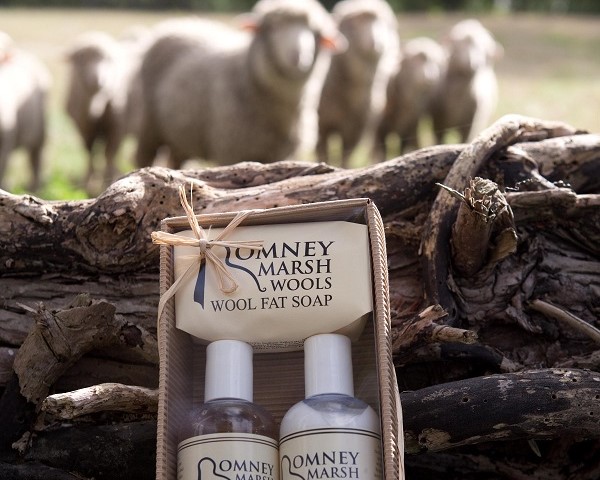 Romney Marsh Wools