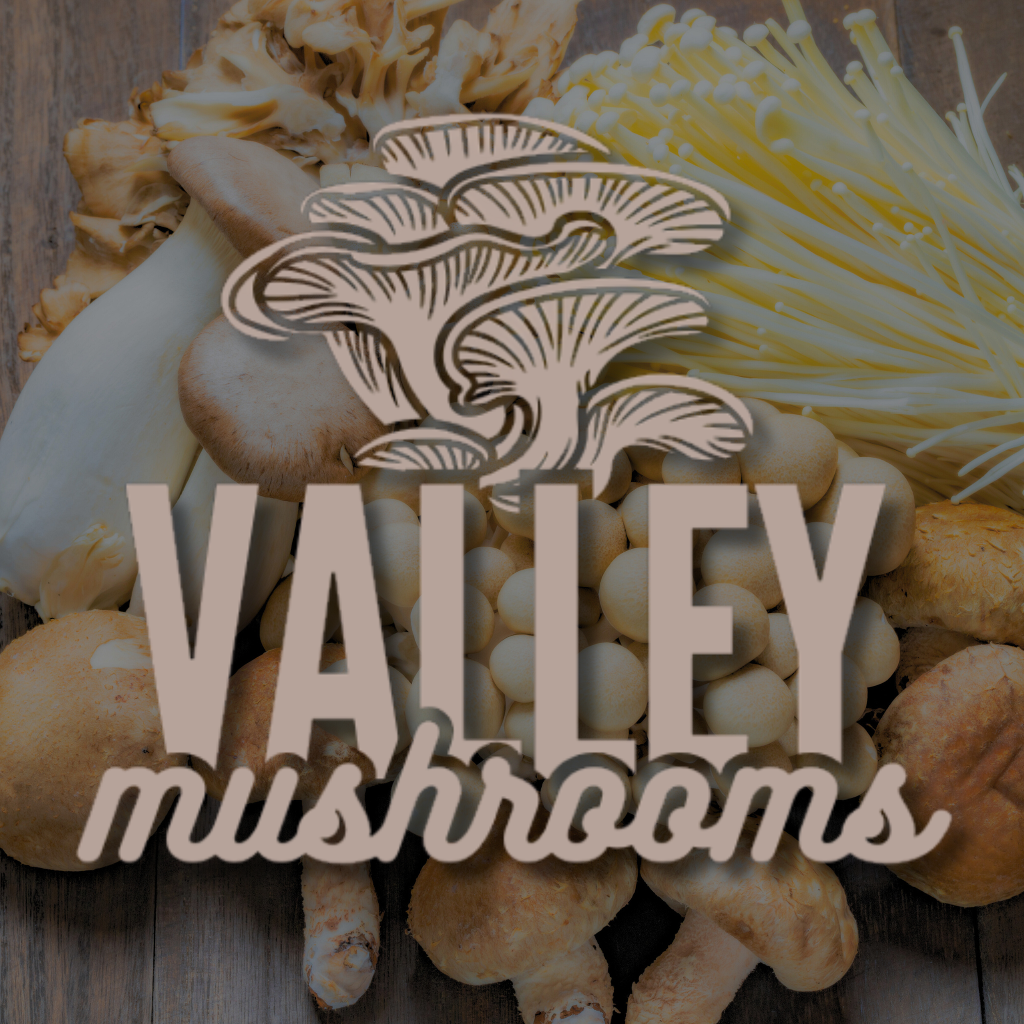 The Valley Mushrooms