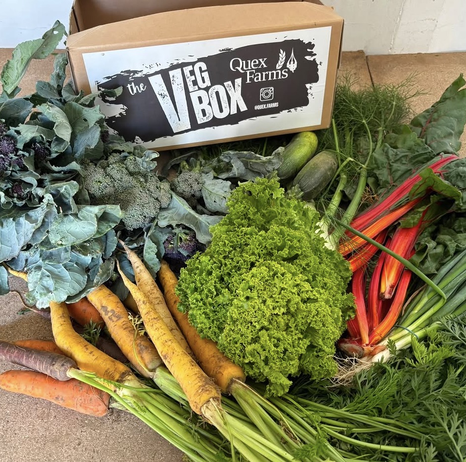 Quex Farm – Veg Boxes